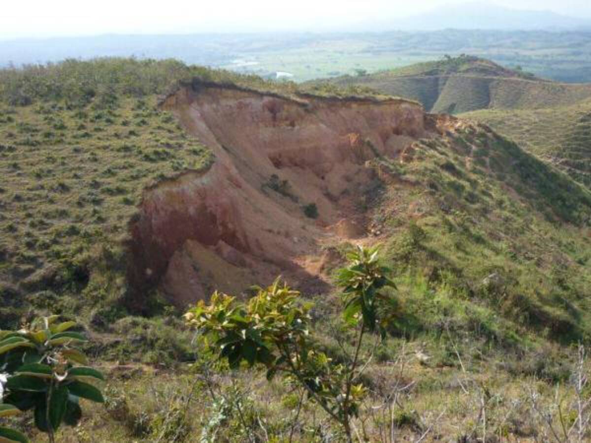 Proponen escrituras exentas de derechos para usuarios víctimas del conflicto en la legislación de tierras