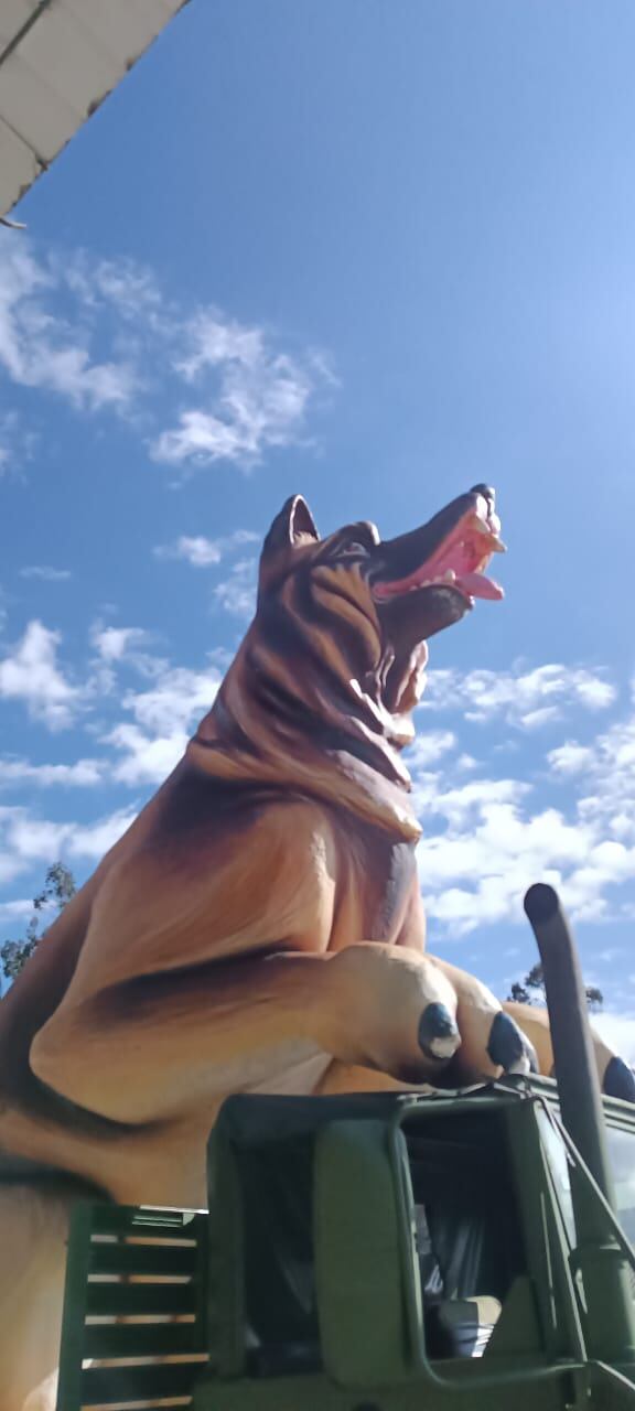 El perro Wilson, oriundo de Chiquinquirá, se convirtió en el héroe de la Operación Esperanza, y será homenajeado en el Aguinaldo Boyacense / Foto: W Radio