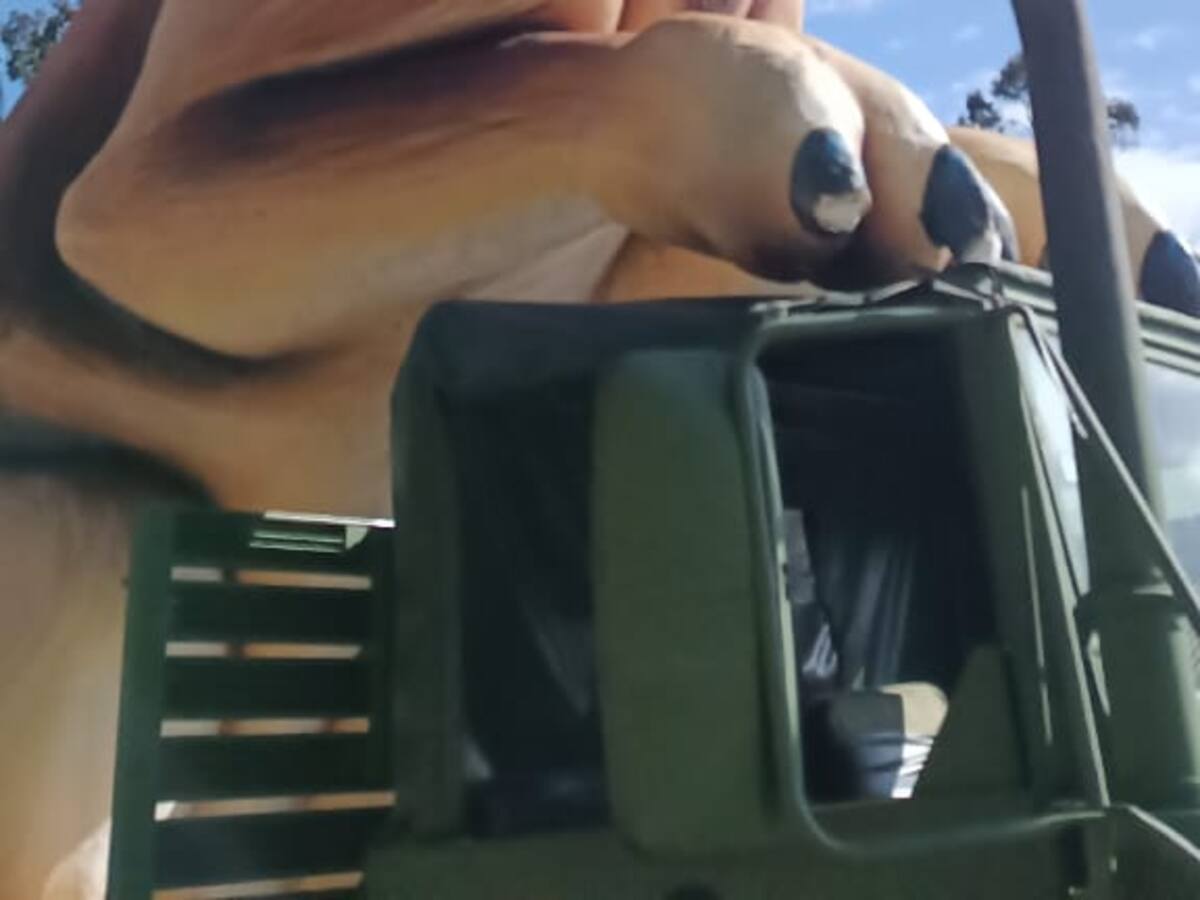 La Primera Brigada del Ejército en Boyacá le hará homenaje a ‘Wilson’