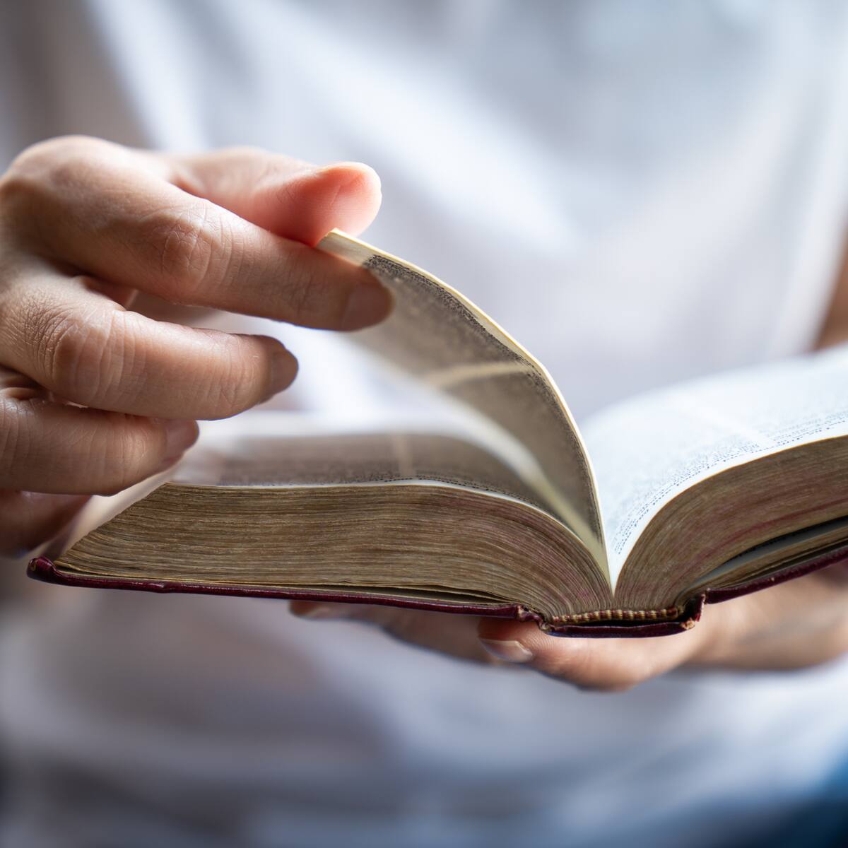 ¿Los pecados capitales son los mismos pecados mortales? Explicación de la Biblia