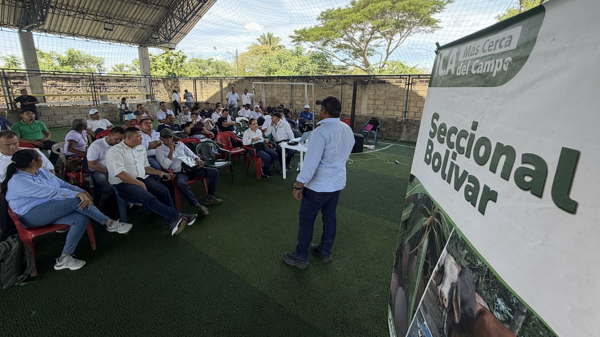 6.500 hectáreas de cítricos fueron fortalecidas en la Depresión Momposina