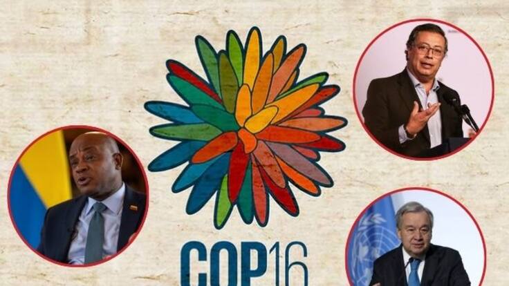 Secretario de la ONU estará en la COP 16: será primera vez que asista presencialmente