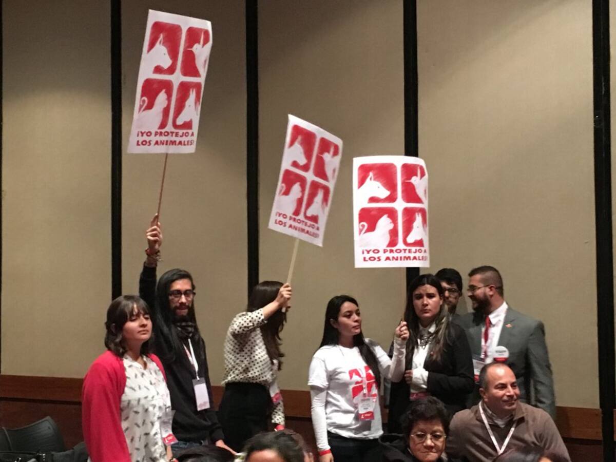 Durante el Congreso Nacional del partido propusieron a César Gaviria como jefe único.