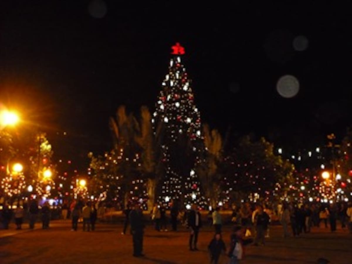 El próximo 4 de diciembre el Parque de la 93 encenderá las luces de navidad