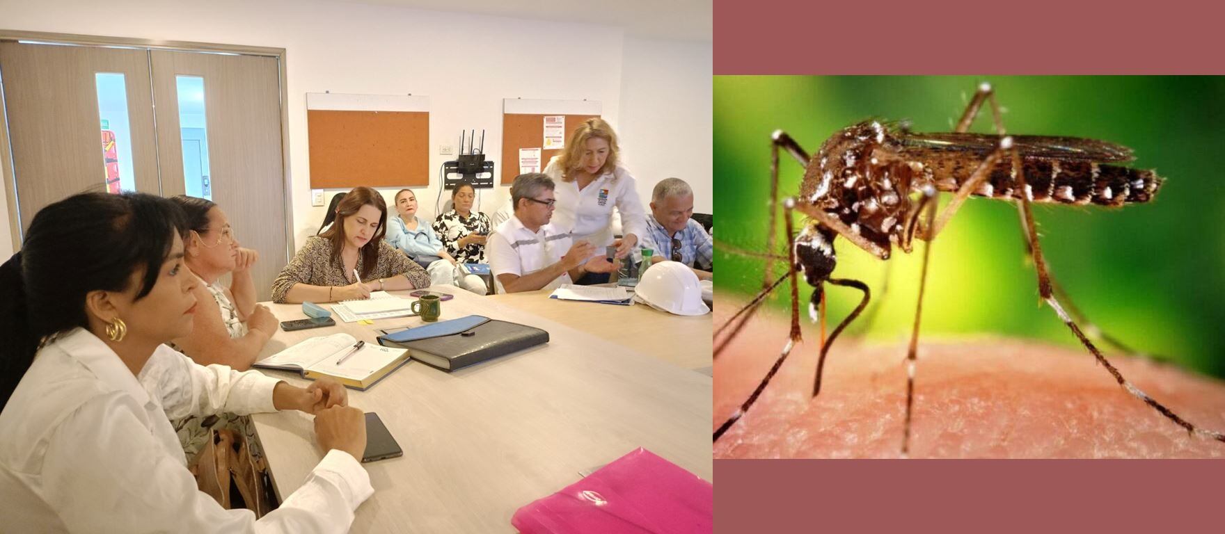 Reportan más de 400 casos de dengue en Sucre