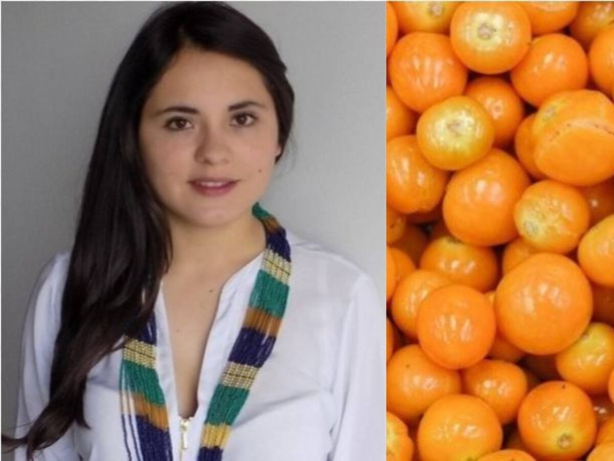 Bioplaguicidas, para unas uchuvas más saludables y deliciosas