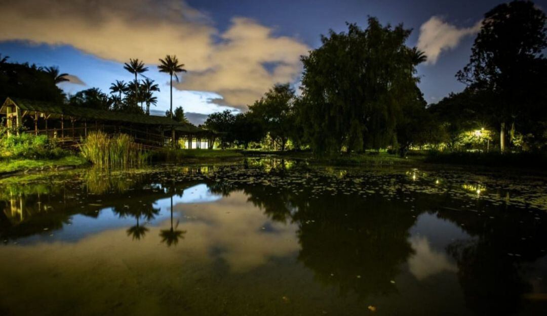 Jardín de noche el viernes 28 de julio en Bogotá
