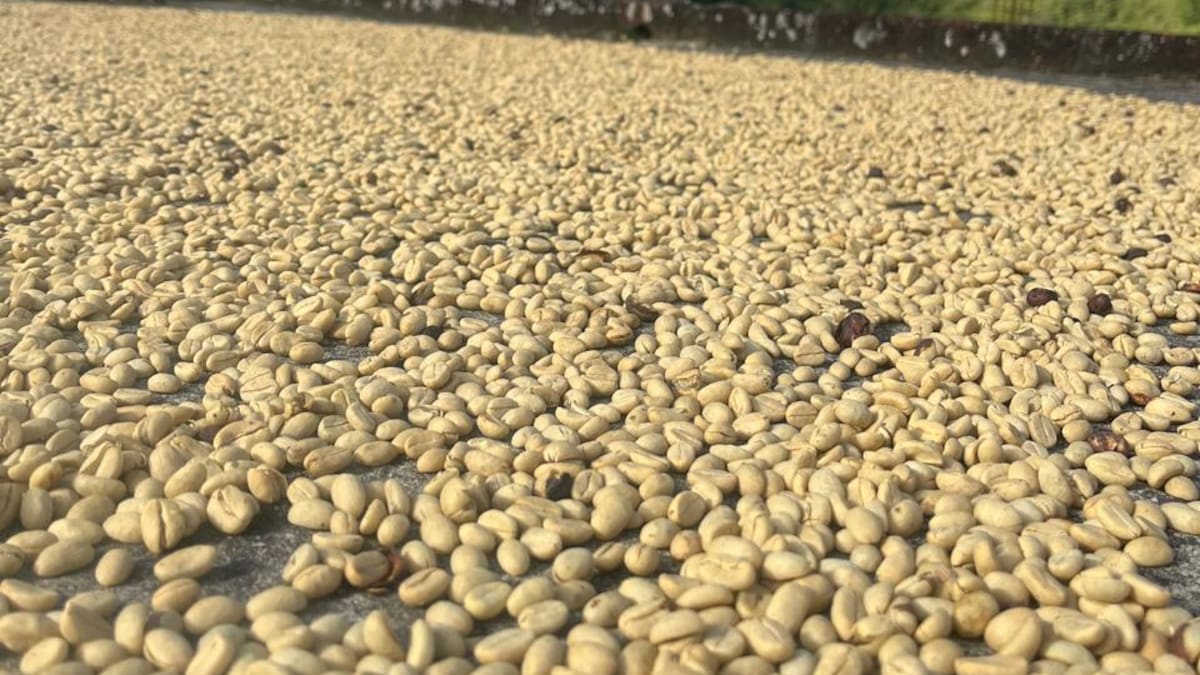 Con éxito cierra proyecto de Fermentacafé en Nariño
