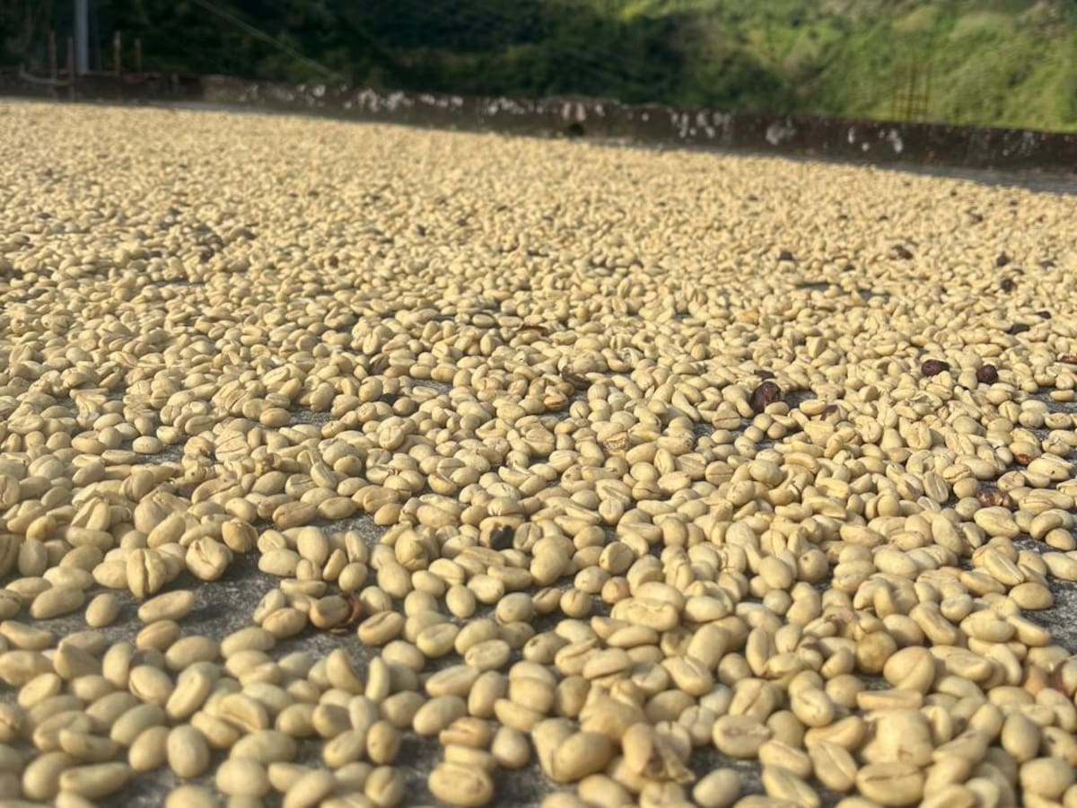 Con éxito cierra proyecto de Fermentacafé en Nariño