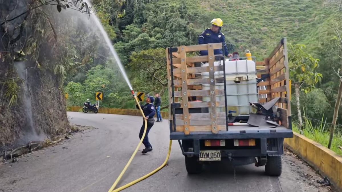 Provocan incendio forestal cerca de un bosque nativo en Marquetalia, Caldas