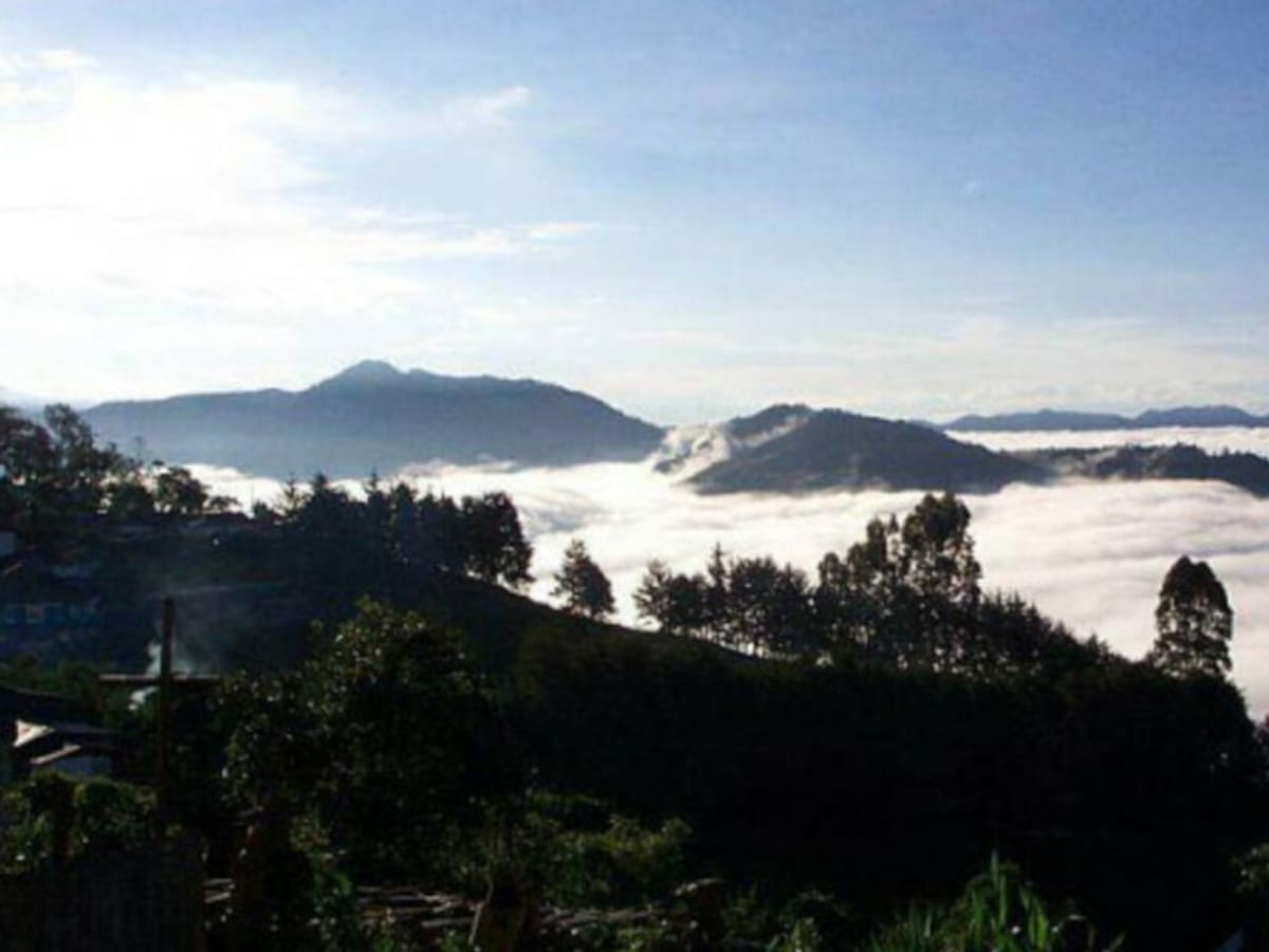 Se celebran 50 años del día de la tierra y la invitación es a reflexionar