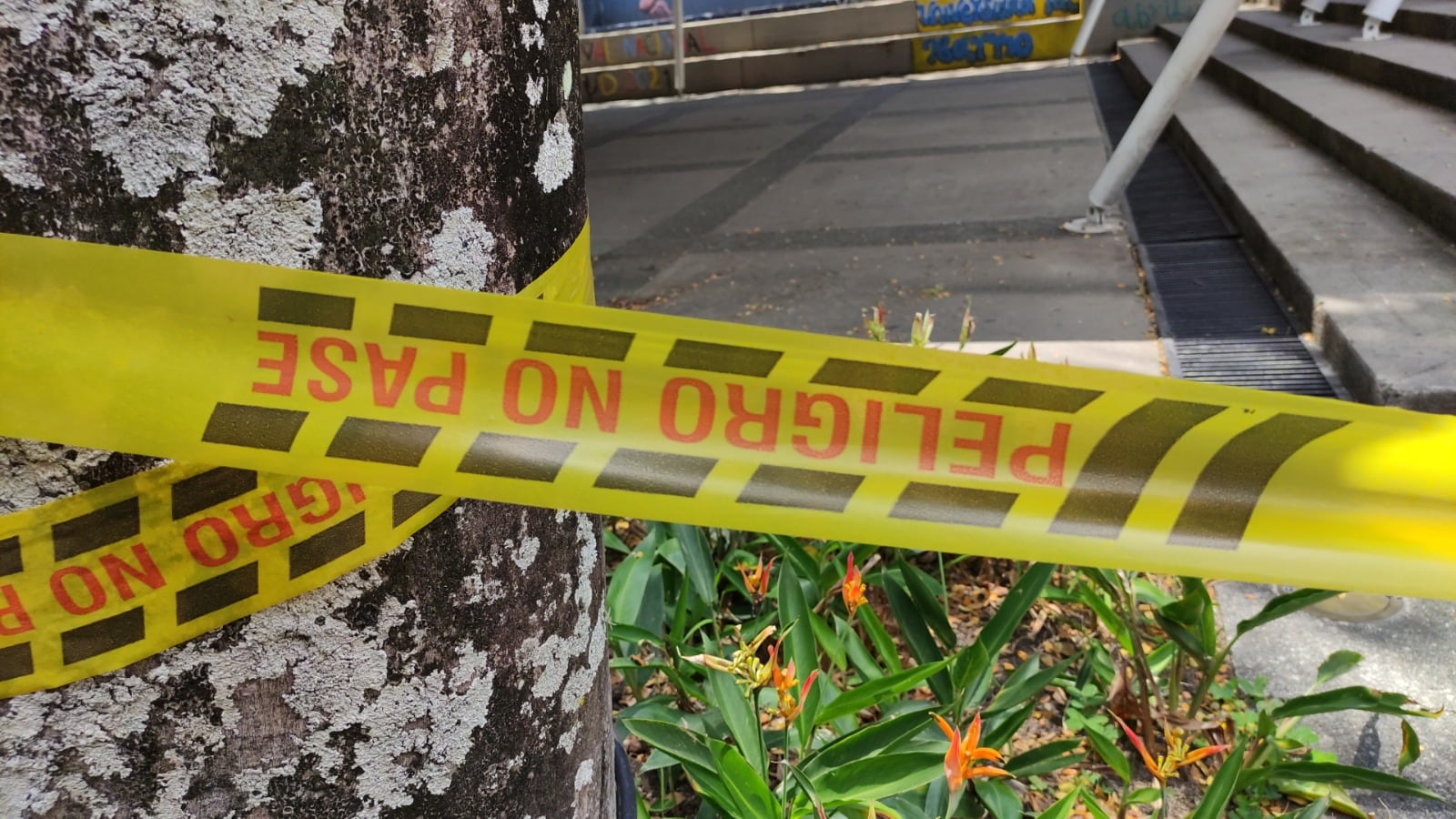 Homicidios Cali - Referencia