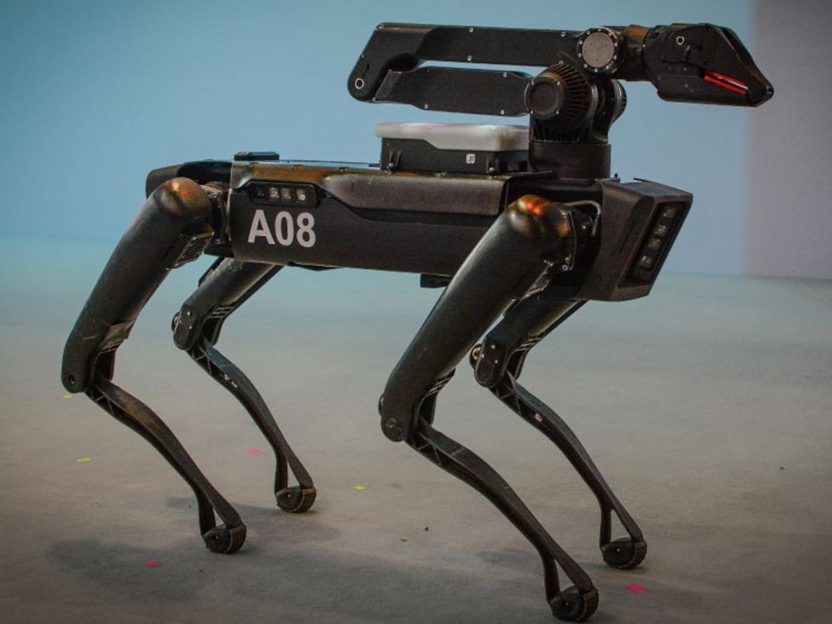 EE.UU. plantea usar perros robot en la frontera con México