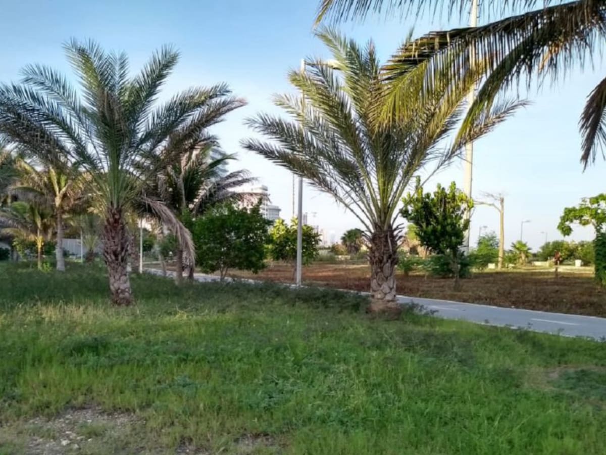 Parque lineal de Crespo en Cartagena necesita intervención