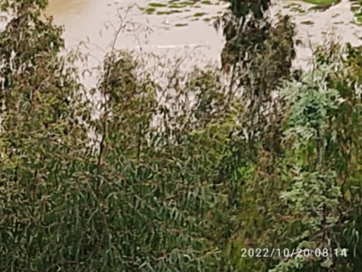 Afectadas cerca de 500 hectáreas de cultivos en Firavitoba por la ola invernal