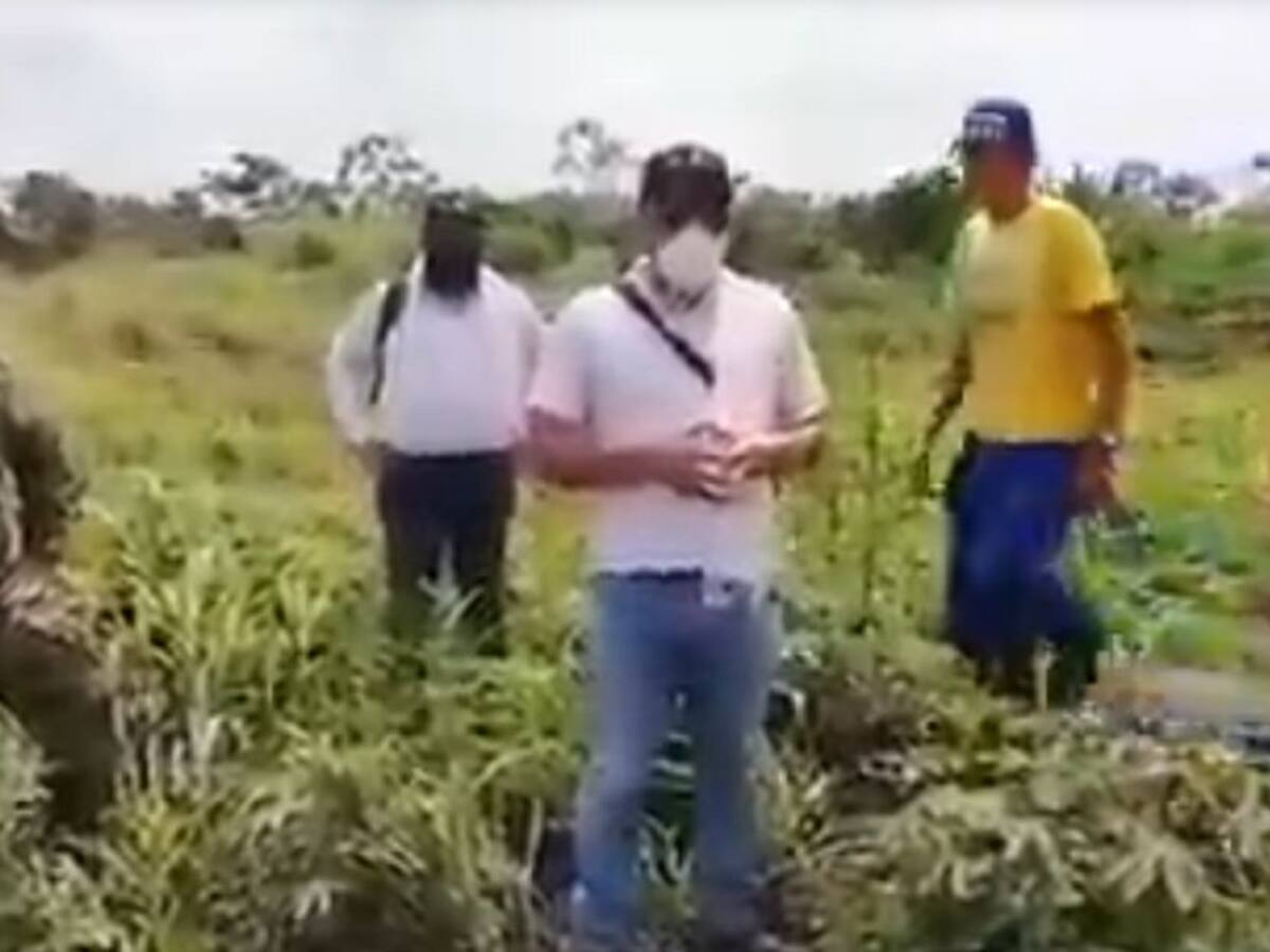 VIDEO: Pérdidas en cultivos dejó desbordamiento de río