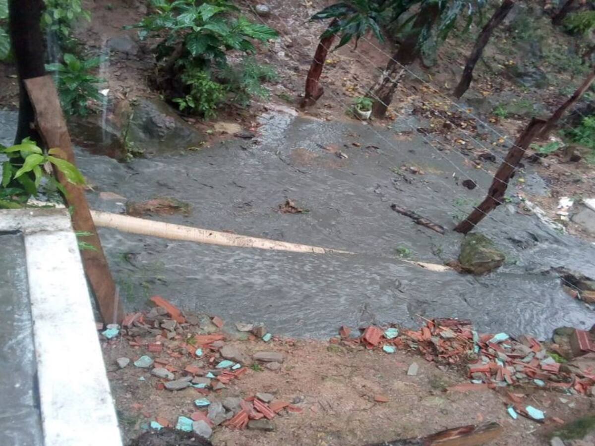 Alerta por dengue en San Jerónimo ante falta de alcantarillado