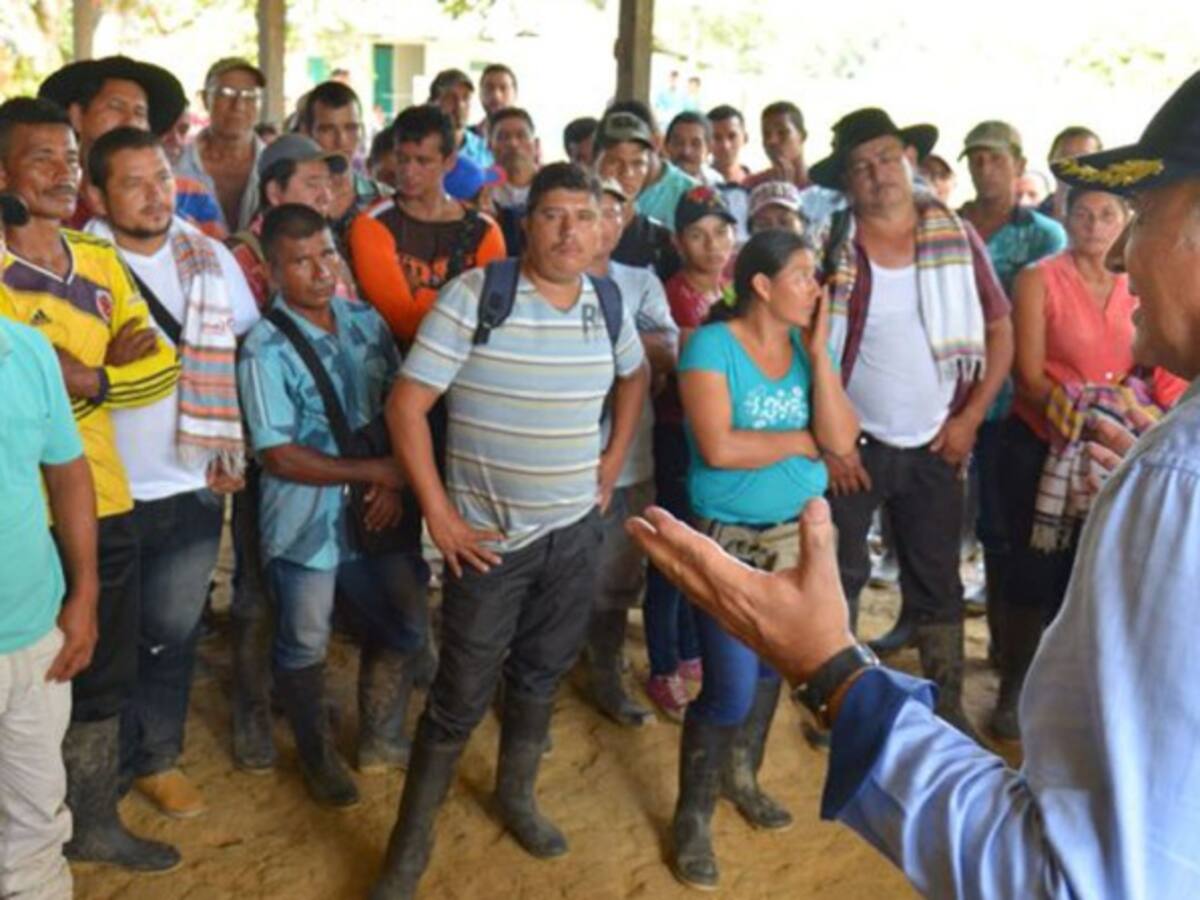 Gobierno comprobó en el Meta 500 familias están cambiando la Coca por cultivos lícitos