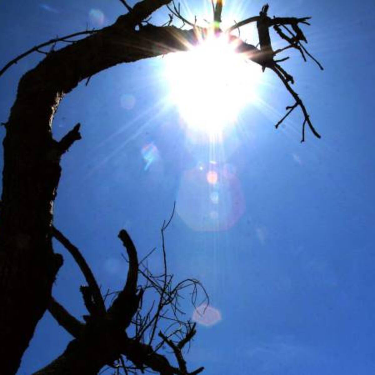 Incendios forestales y heladas amenazan al 73% de los municipios de Boyacá