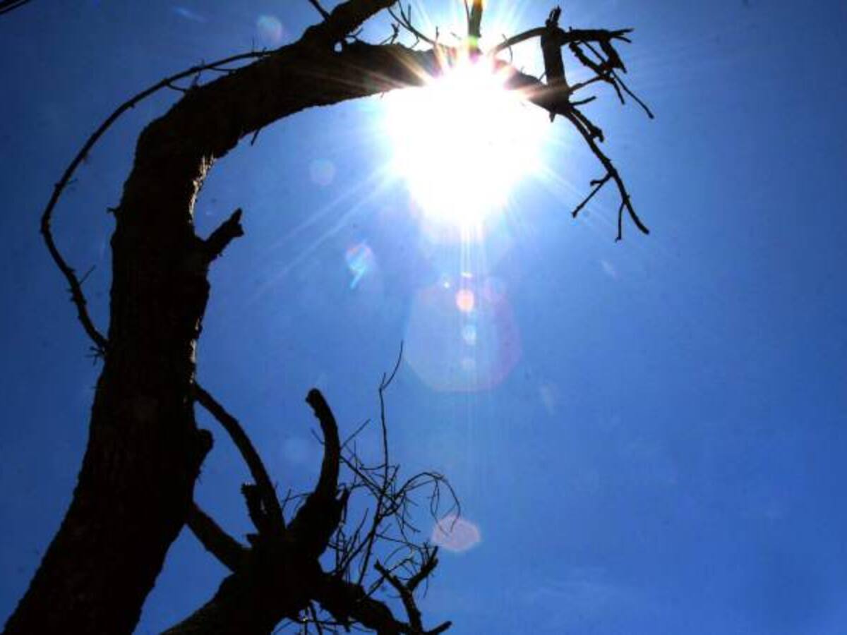 Incendios forestales y heladas amenazan al 73% de los municipios de Boyacá