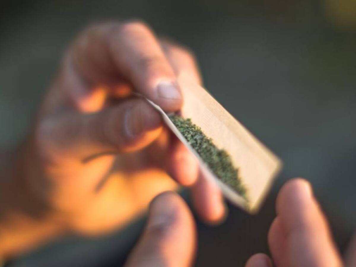 Incautan 305 kilos de cocaína en la zona portuaria de Barranquilla