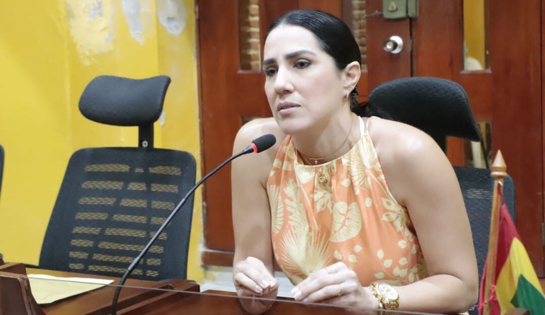 La corporación presentó proposición para conocer las acciones que adelanta la Alcaldía contra las múltiples invasiones que se presentan