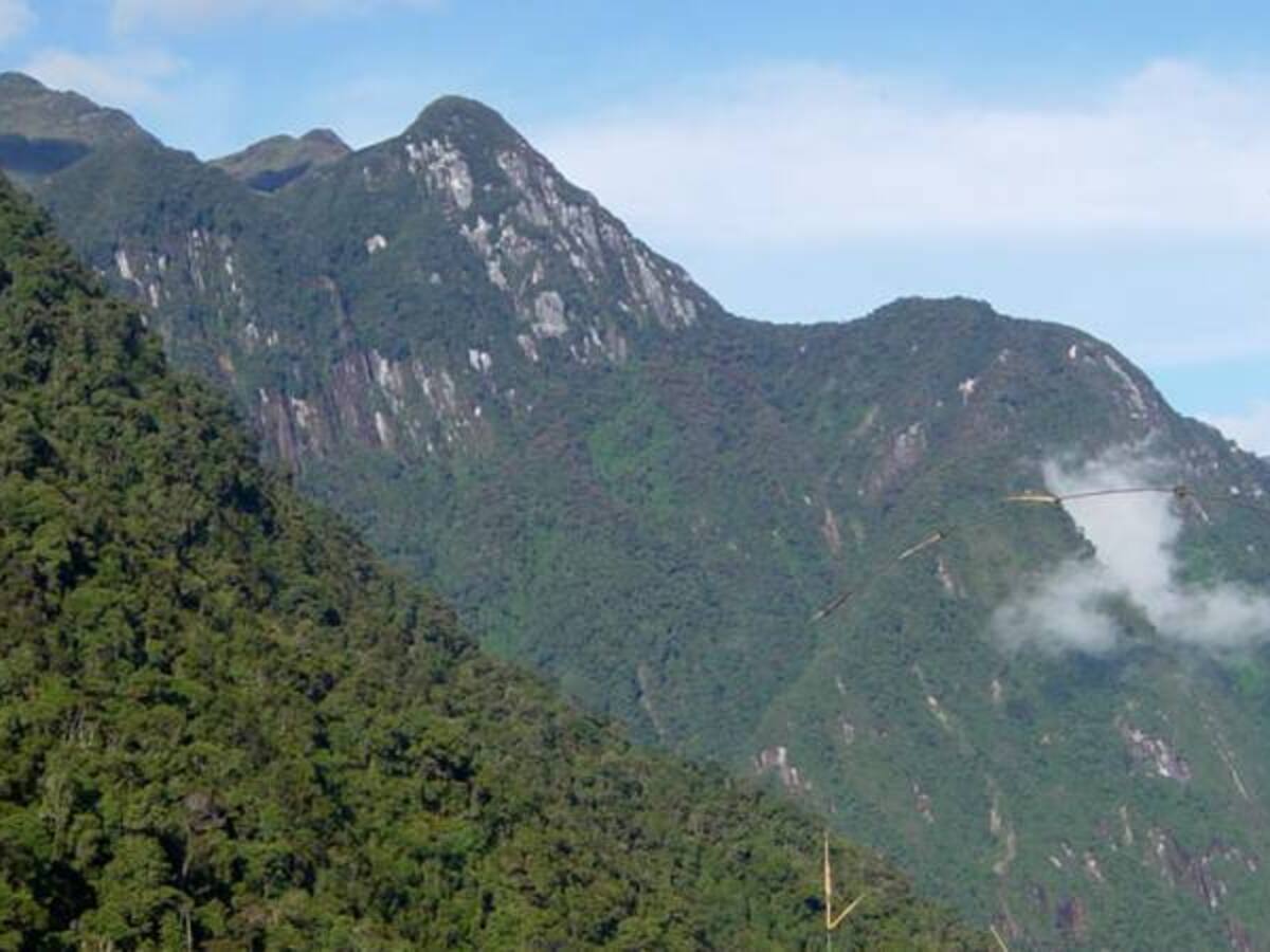 Risaralda es una de las región que más conserva sus bosques naturales: Ideam