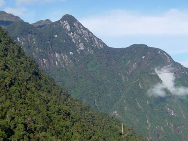 Risaralda es una de las región que más conserva sus bosques naturales: Ideam