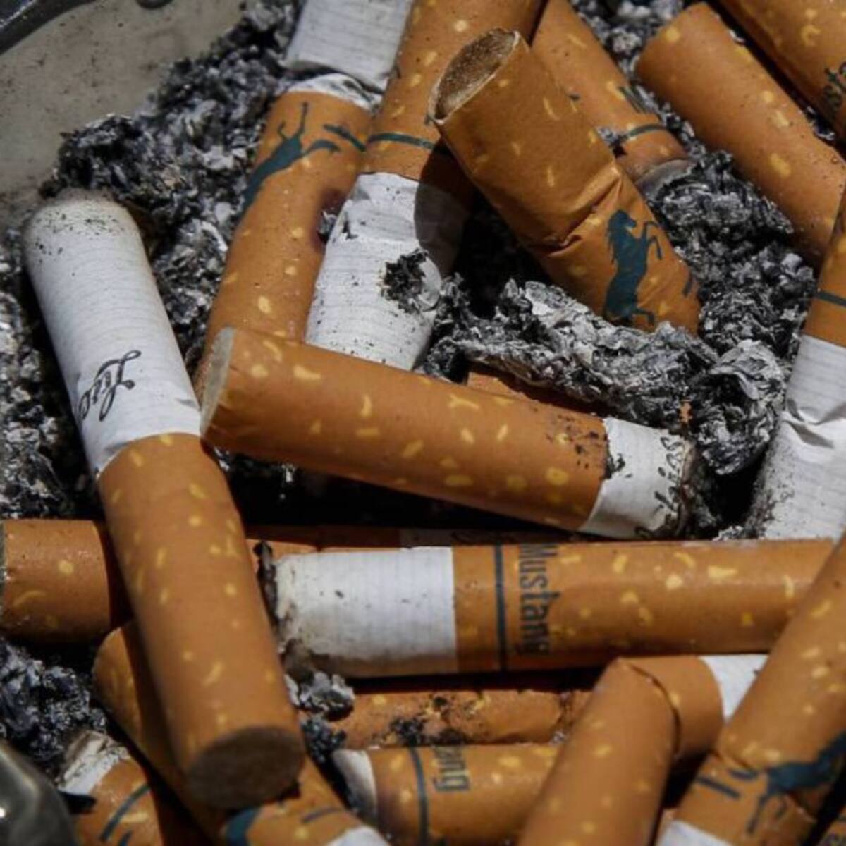 Colillas de cigarrillos, uno de los mayores contaminantes en El Rodadero