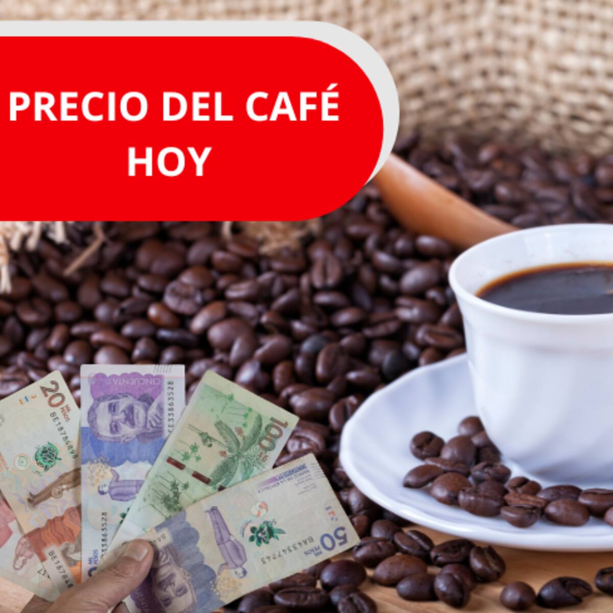 Precio del café para el día de HOY en Colombia, 20 de mayo, según la FNC: volvió a caer