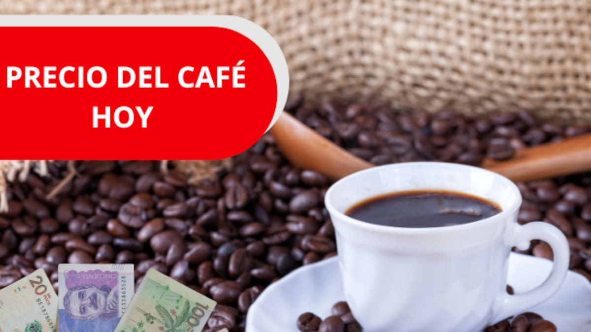 Precio del café para el día de HOY en Colombia, 20 de mayo, según la FNC: volvió a caer