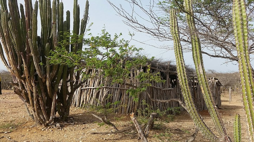 Imagen de referencia