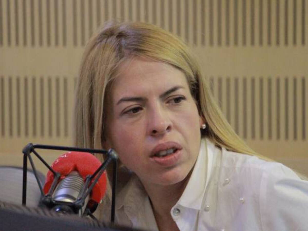 Lo máximo que se puede negociar con ELN es un cese del fuego: Lariza