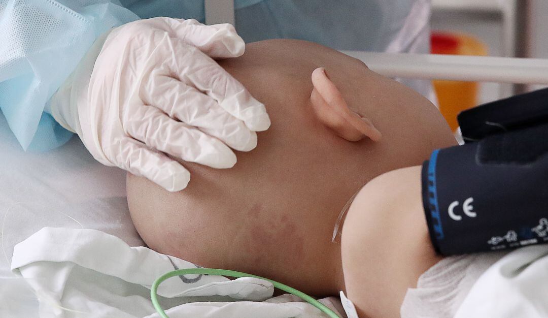 Imagen de referencia