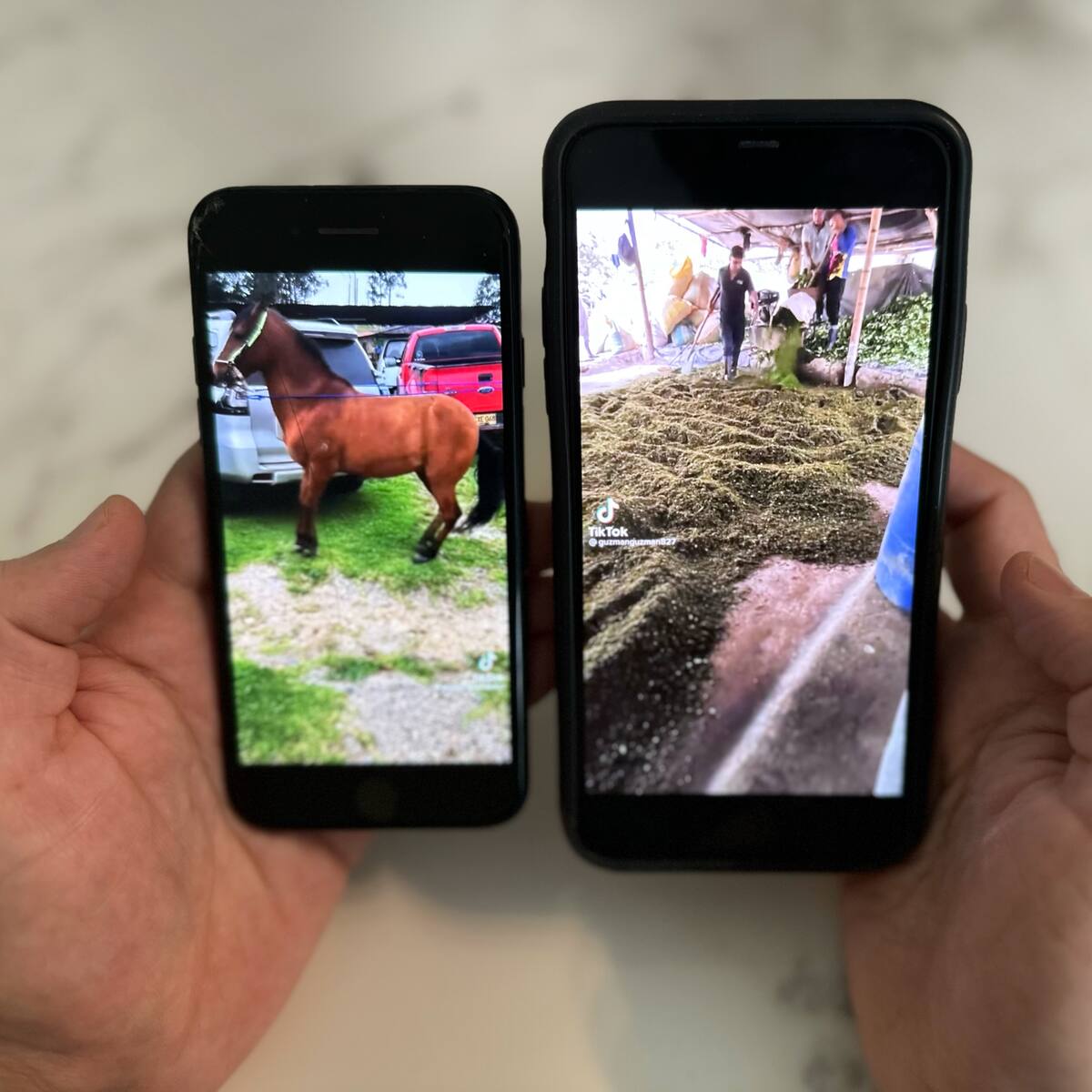 TikTokers de la coca en Colombia, la puerta de narcos para llegar a menores en el mundo