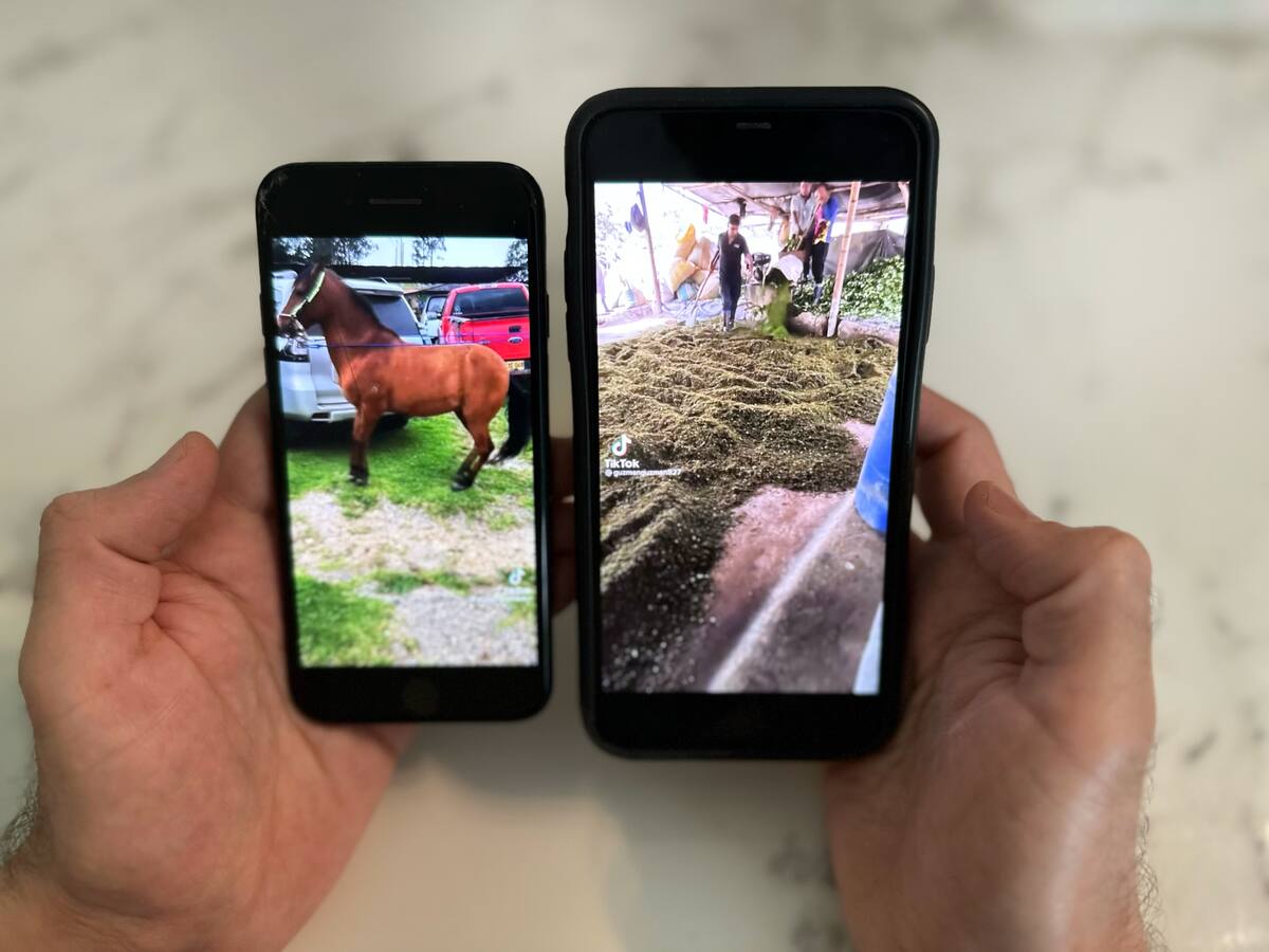 TikTokers de la coca en Colombia, la puerta de narcos para llegar a menores en el mundo