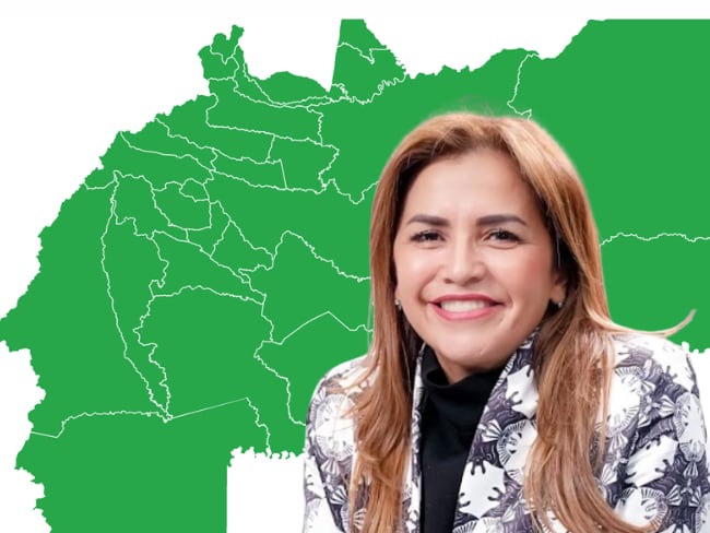 La gobernadora del Meta se pronunció sobre la seguridad en el territorio. / Foto: Suministrada
