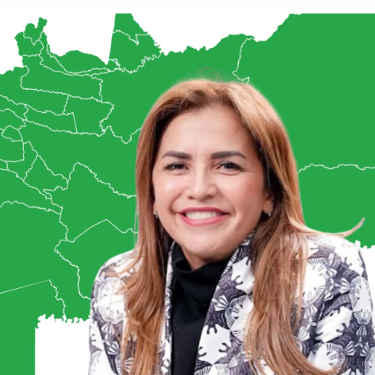 “Se requieren acciones urgentes en el Meta”: Gobernadora alerta por seguridad electoral
