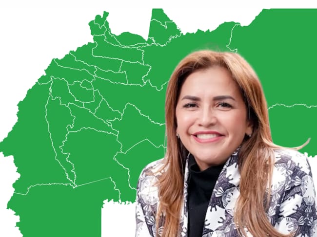 La gobernadora del Meta se pronunció sobre la seguridad en el territorio. / Foto: Suministrada