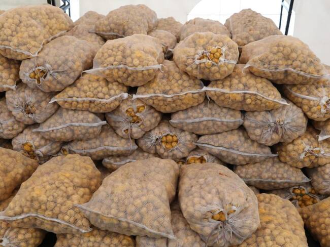 ‘Primero lo nuestro’, para apoyar a los campesinos en época de Covid 19