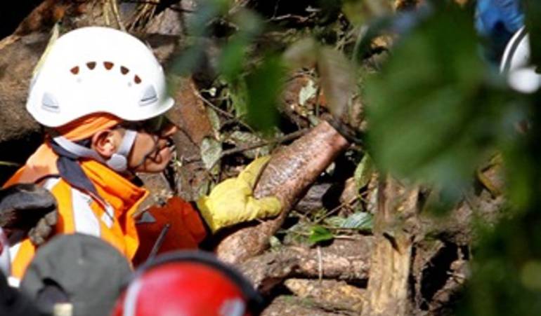 Organismos de socorro trabajan en la búsqueda de más personas atrapadas.