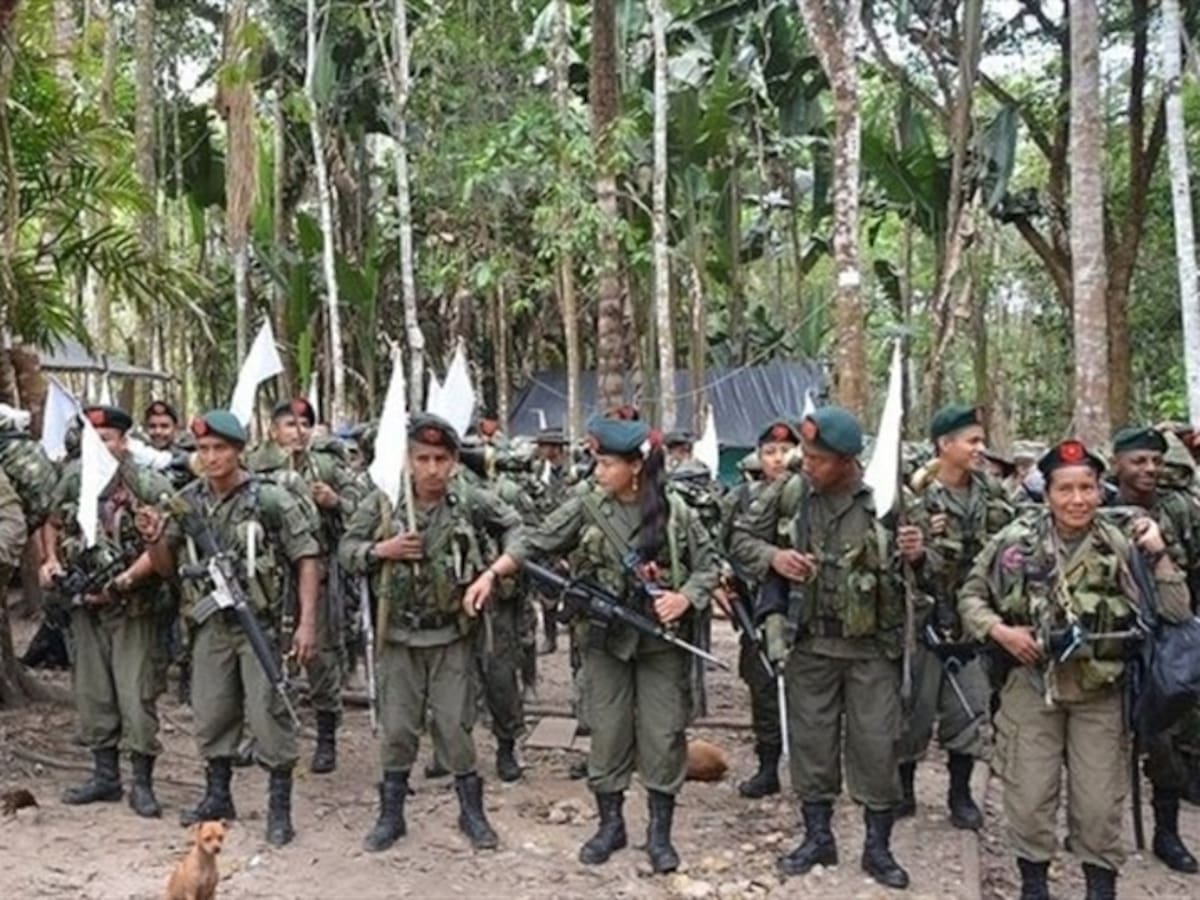 Inició el proceso de selección de los escoltas de las Farc