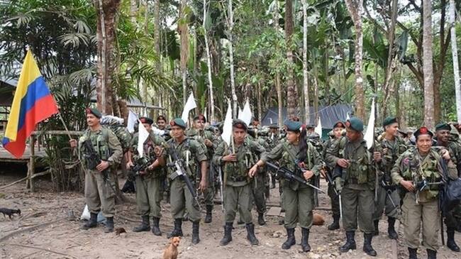 Inició el proceso de selección de los escoltas de las Farc . Foto: Colprensa