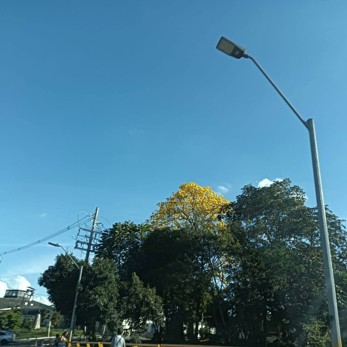 Miércoles 18 de marzo, las noticias más importantes de Armenia y Quindío