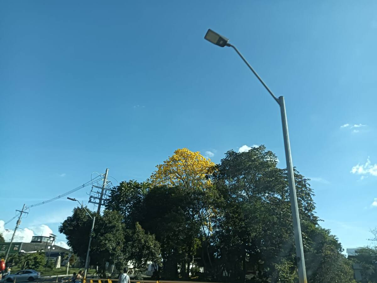 Miércoles 18 de marzo, las noticias más importantes de Armenia y Quindío