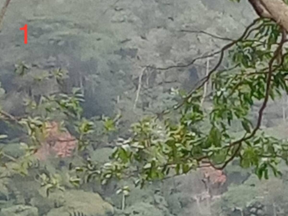 Alerta por el represamiento del río Recio en el municipio del Líbano, Tolima
