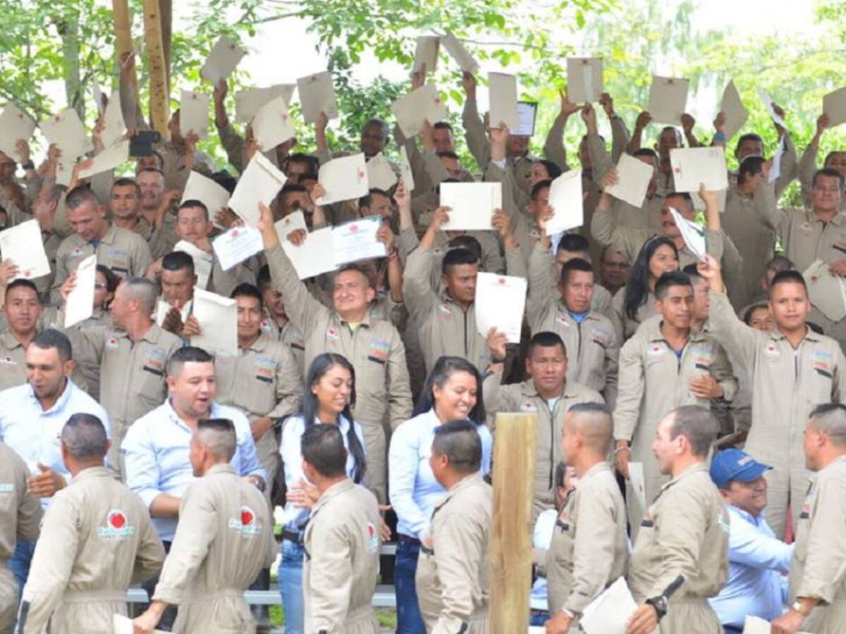 Aseguradas por ocho meses las provisiones para los excombatientes de Farc