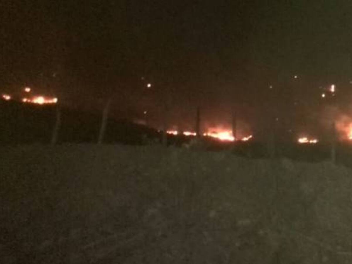 Más de 80 hectáreas consume incendio forestal en La Guajira
