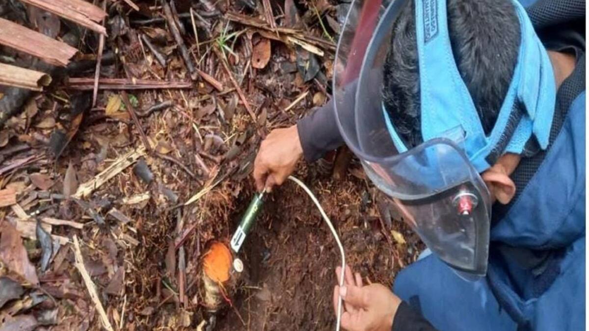 Destruyen tres nuevas minas antipersonal en zona rural de Samaná