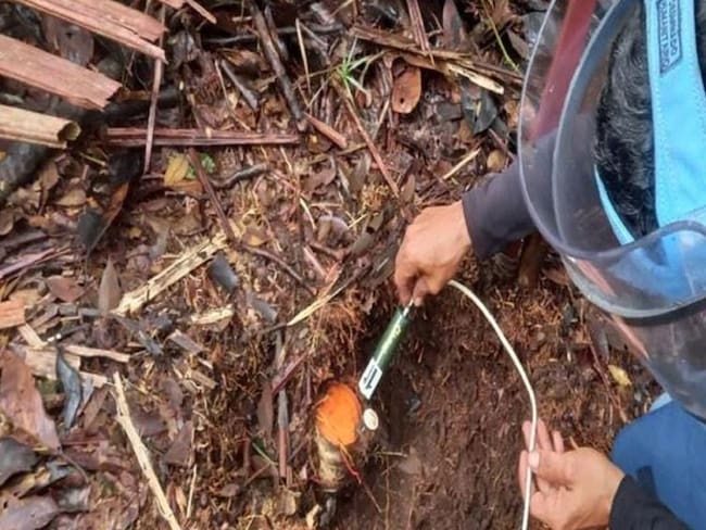 Proceso de destrucción de minas antipersonal en Samaná